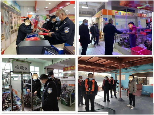 筑牢節日防線 英德開展打擊應節商品走私統一檢查行動，并借力體驗式拓展活動深化團隊協作與策略規劃