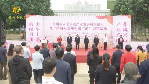 梧州六大重點產業成果閃耀，本土品牌展銷與文化交流共繪發展新篇