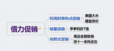 2016年電商賣家必知的15種促銷策略 從經營管理到實業投資的實戰指南